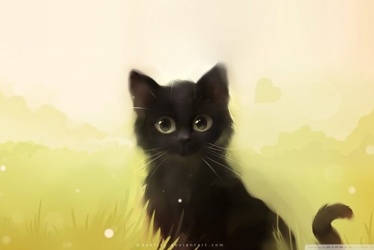 Anime Cat HD Wallpapers New Tab Theme - PlayTime